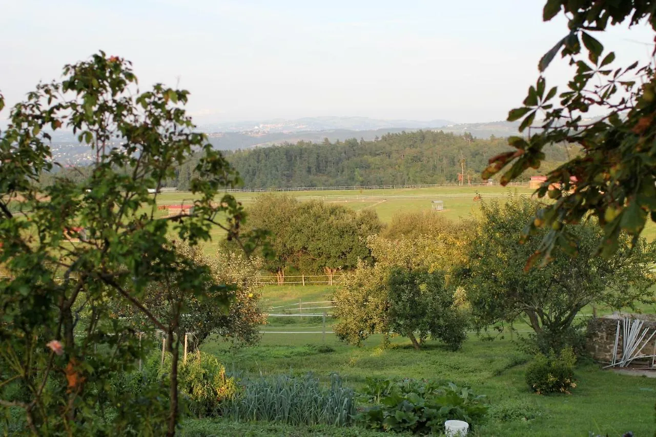 Bed & Breakfast Chambres D'hotes De La Mure Saint-Rambert-sur-Loire